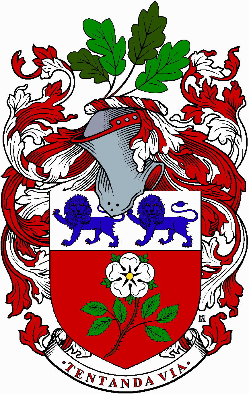 York University logo